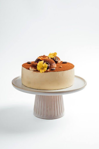 Tiramisu Cake with white colour background